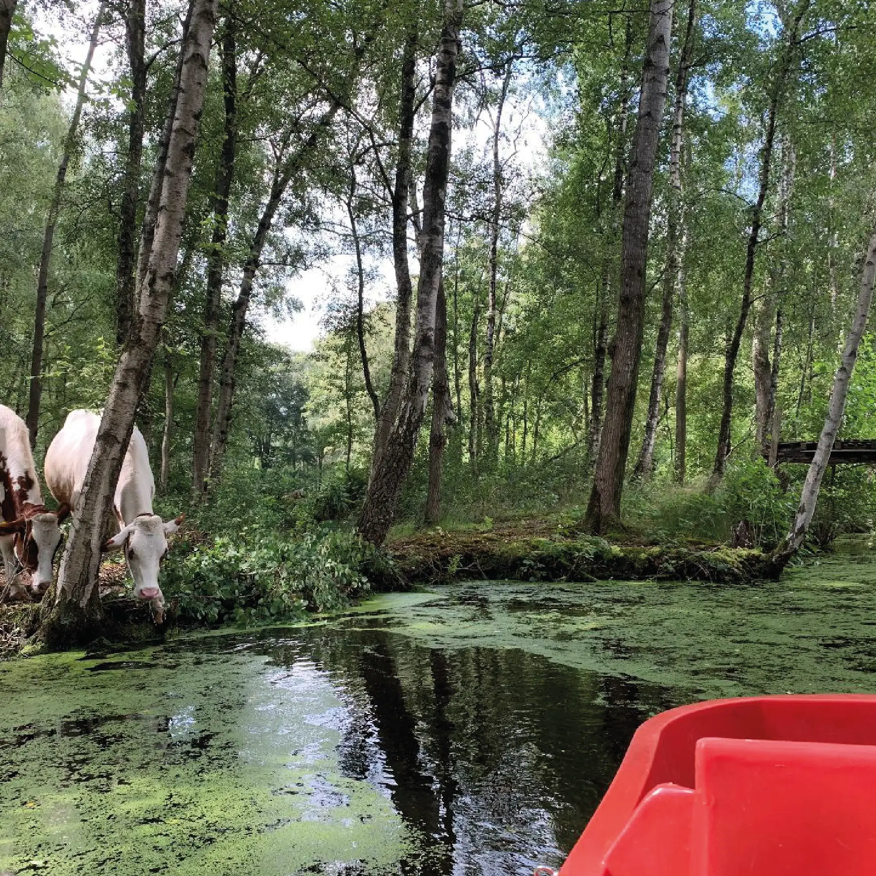 Waterfietsen vierkant3